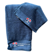 VRC Towel (small)